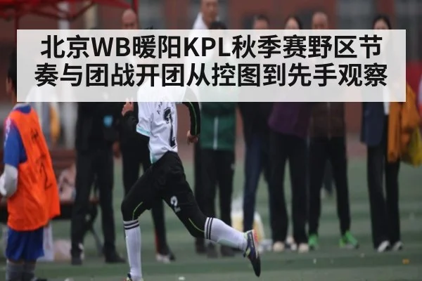 北京WB暖阳KPL秋季赛野区节奏与团战开团从控图到先手观察